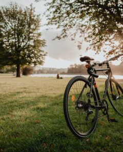 Bicicleta_Vidusa